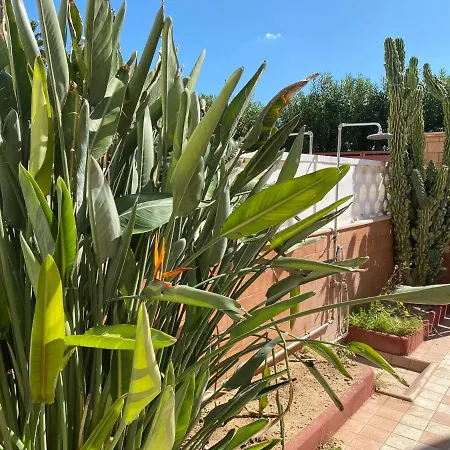 Romeo By Cala Salento * Torre Lapillo